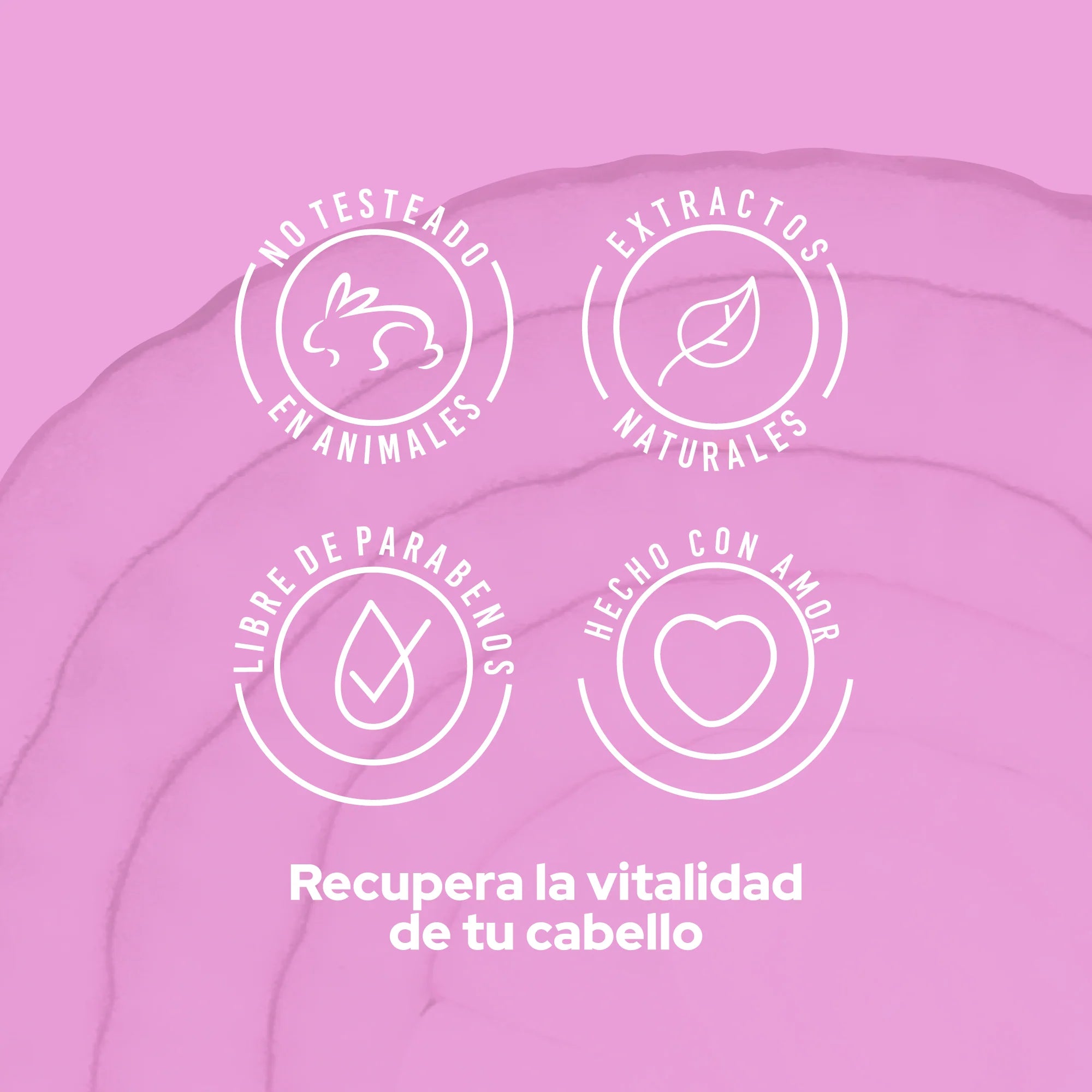 Acondicionador con Cebolla y Vitamina E 500ml – Anyeluz