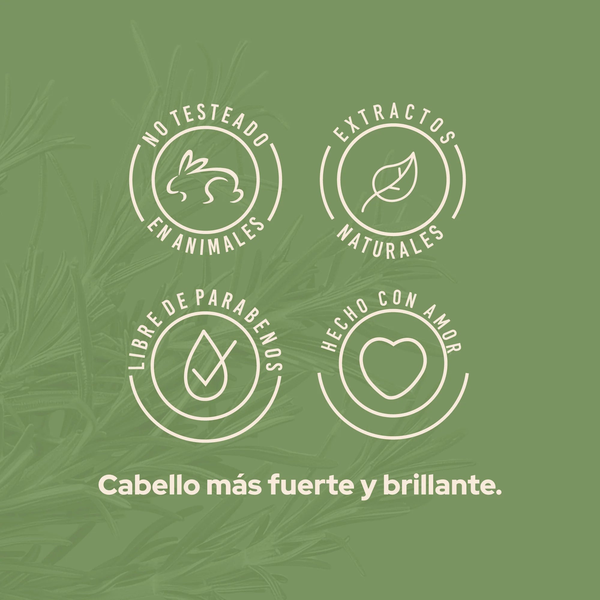 Acondicionador Romero 500ml – Anyeluz