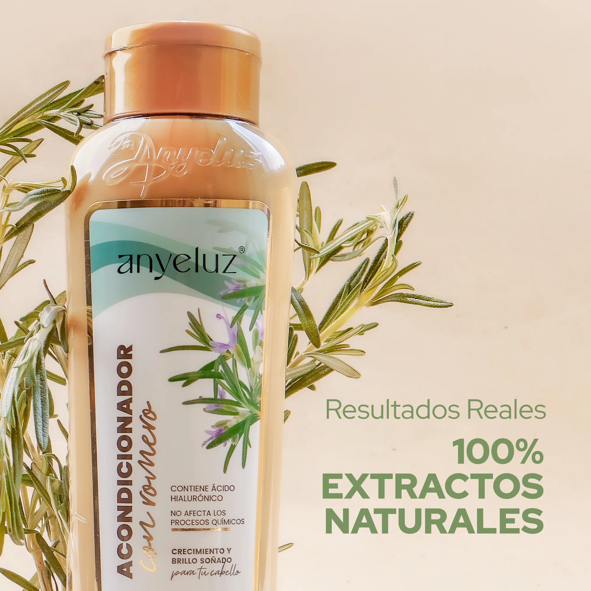 Acondicionador Romero 500ml – Anyeluz